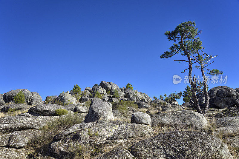 Serra da Gardunha自然公园，Louriçal do Campo，区Castelo Branco，葡萄牙